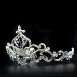 Alamode Imitation Rhodium Brass Tiaras & Hair Clip with Top Grade Crystal in Montana - Alamode - Flyclothing LLC