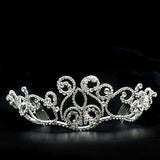 Alamode Imitation Rhodium Brass Tiaras & Hair Clip with Top Grade Crystal in Clear - Alamode - Flyclothing LLC
