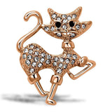 Alamode Imitation Rhodium White Metal Brooches with Top Grade Crystal in Clear - Alamode - Flyclothing LLC