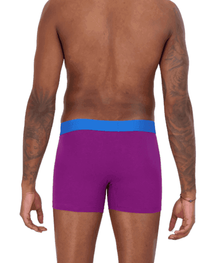 Wood Underwear grape men's boxer brief w-fly - Wood Underwear - Flyclothing LLC