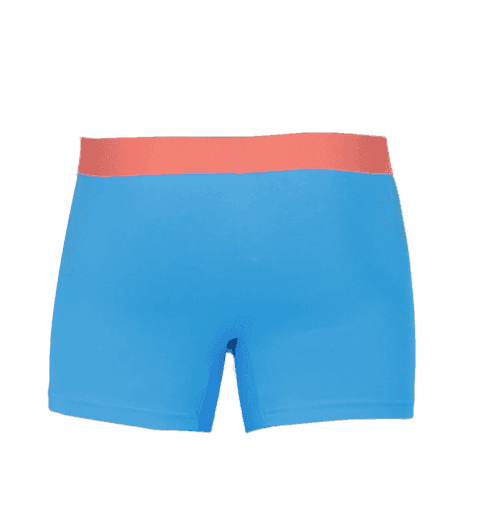 Wood Underwear malibu men's boxer brief w-fly - Wood Underwear - Flyclothing LLC