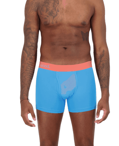 Wood Underwear malibu men's boxer brief w-fly - Wood Underwear - Flyclothing LLC