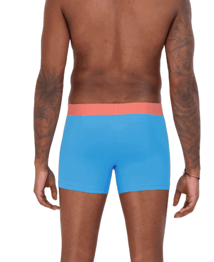 Wood Underwear malibu men's boxer brief w-fly - Wood Underwear - Flyclothing LLC
