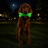 PUP-X Rubber Glow in the Dark Chew Bone Dog Toy - Durable, Floats, Chew Toy for Large Dogs | USA - SodaPup/True Dogs, LLC - Flyclothing LLC
