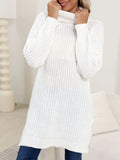 Slit Turtleneck Long Sleeve Sweater - Trendsi