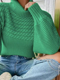 Full Size Textured Knit Turtleneck Long Sleeve Sweater Plus Size - Trendsi - Flyclothing LLC