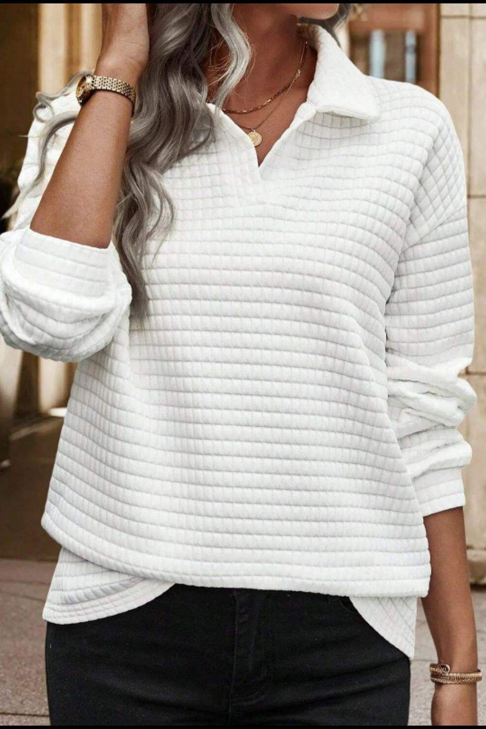 Texture Johnny Collar Long Sleeve Sweatshirt - Trendsi - Flyclothing LLC