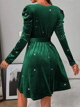Glitter Round Neck Puff Sleeve Dress - Trendsi - Flyclothing LLC