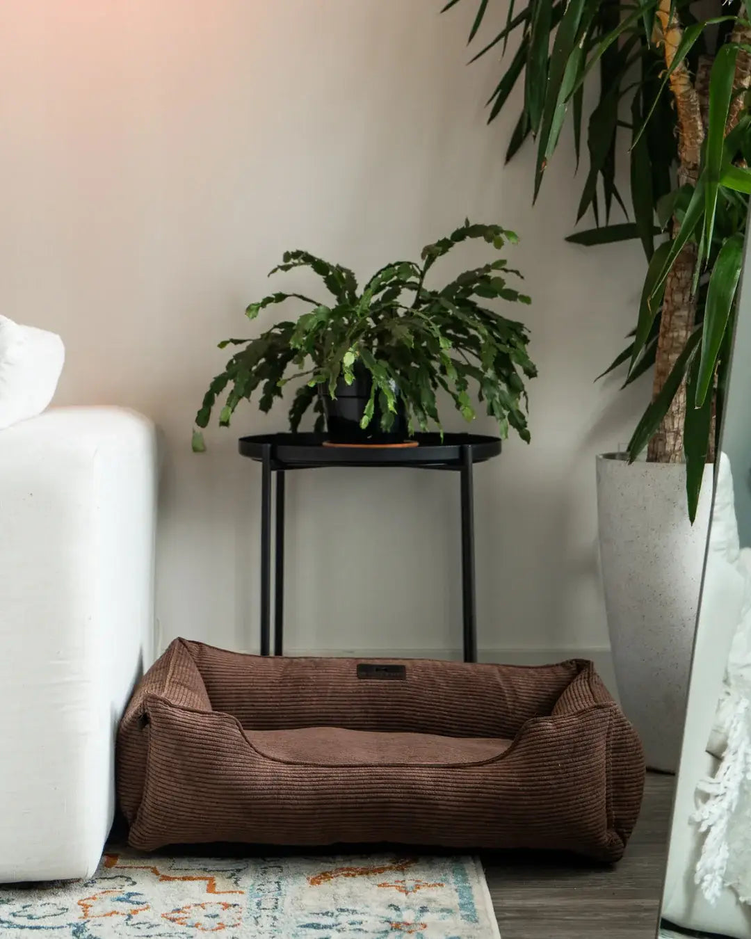 Chester & Lee | Milk Chocolate Sleeper Dog Bed - Chester & Lee - Flyclothing LLC