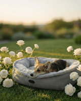 Chester & Lee | Furry Bagel Dog Bed - Chester & Lee - Flyclothing LLC