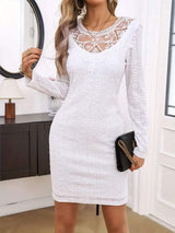 Lace Detail Round Neck Long Sleeve Mini Dress - Trendsi - Flyclothing LLC