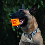 Jack O' Lantern Dog Toy - Durable Halloween Chew Toy for Large Dogs | USA Made - SodaPup/True Dogs, LLC - Flyclothing LLC