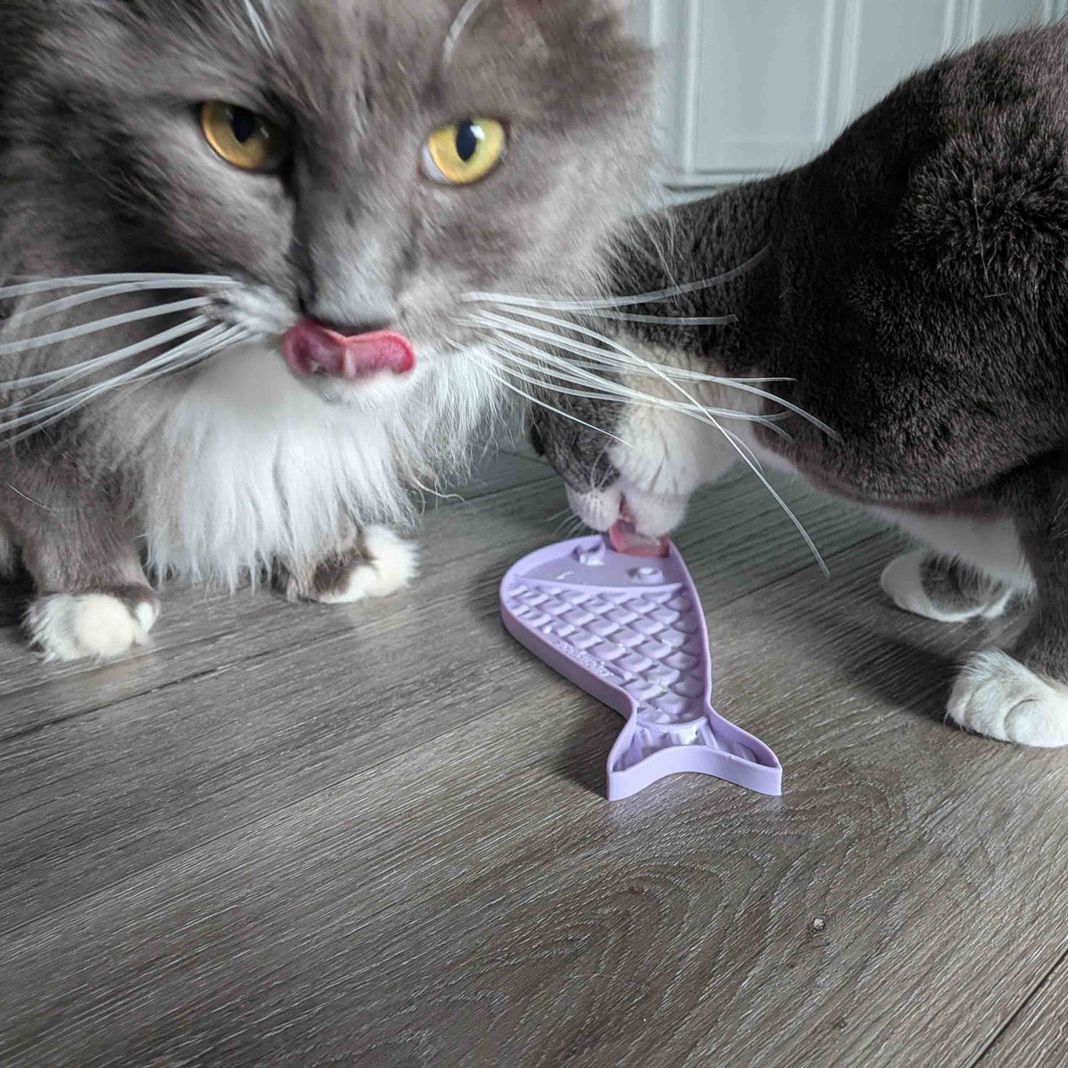 Goldfish emat - Small Enrichment Lick Mat for Cats | SodaPup - SodaPup/True Dogs, LLC - Flyclothing LLC