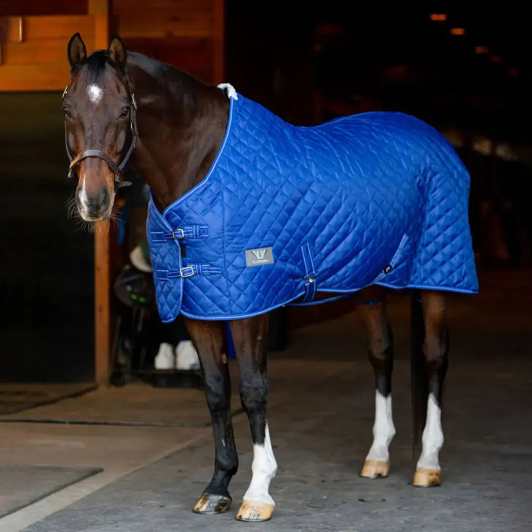 TuffRider Kozy Komfort Two Stable Blanket-420 D 200 GSM of fill - Breeches.com - Flyclothing LLC