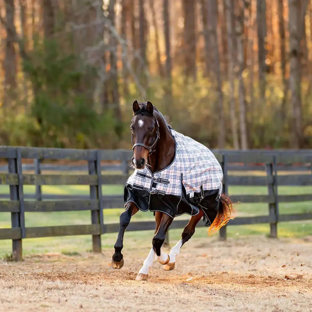 TuffRider Ripstop Turnout Comfy 1200 D Medium Weight 200 GSM Standard Neck Blanket - Breeches.com - Flyclothing LLC