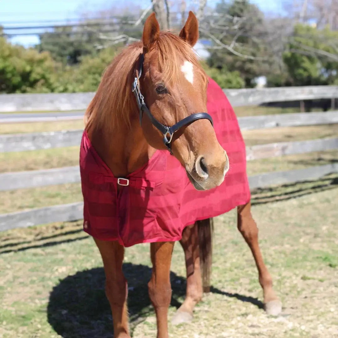 TuffRider Scrim Sheet - Breeches.com - Flyclothing LLC