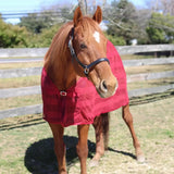 TuffRider Scrim Sheet - Breeches.com - Flyclothing LLC