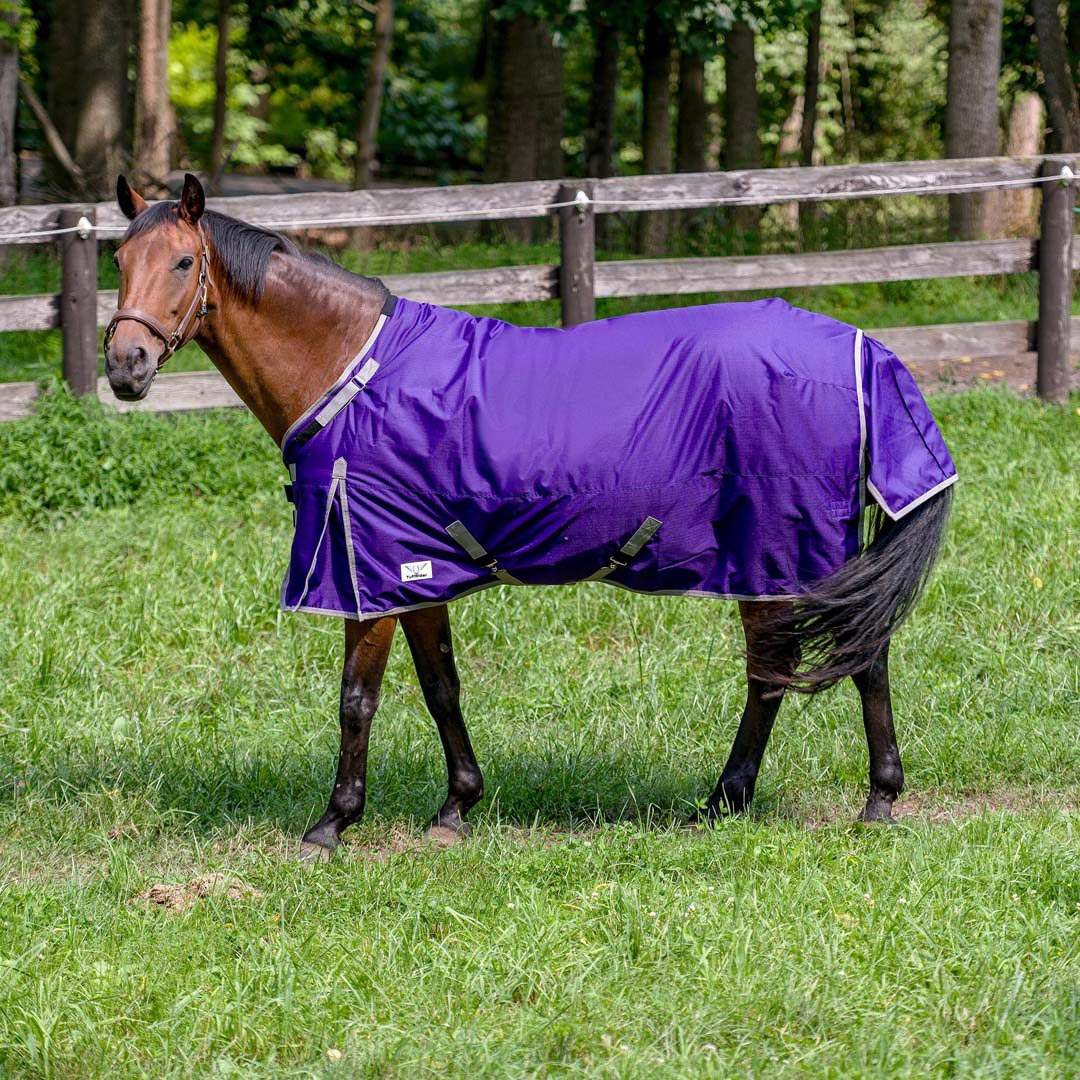 TuffRider Comfy-Fit Medium Weight Standard Neck Ripstop Turnout Blanket w/ Adjustable Neck Opening- 1200D, 200 GSM - Breeches.com - Flyclothing LLC