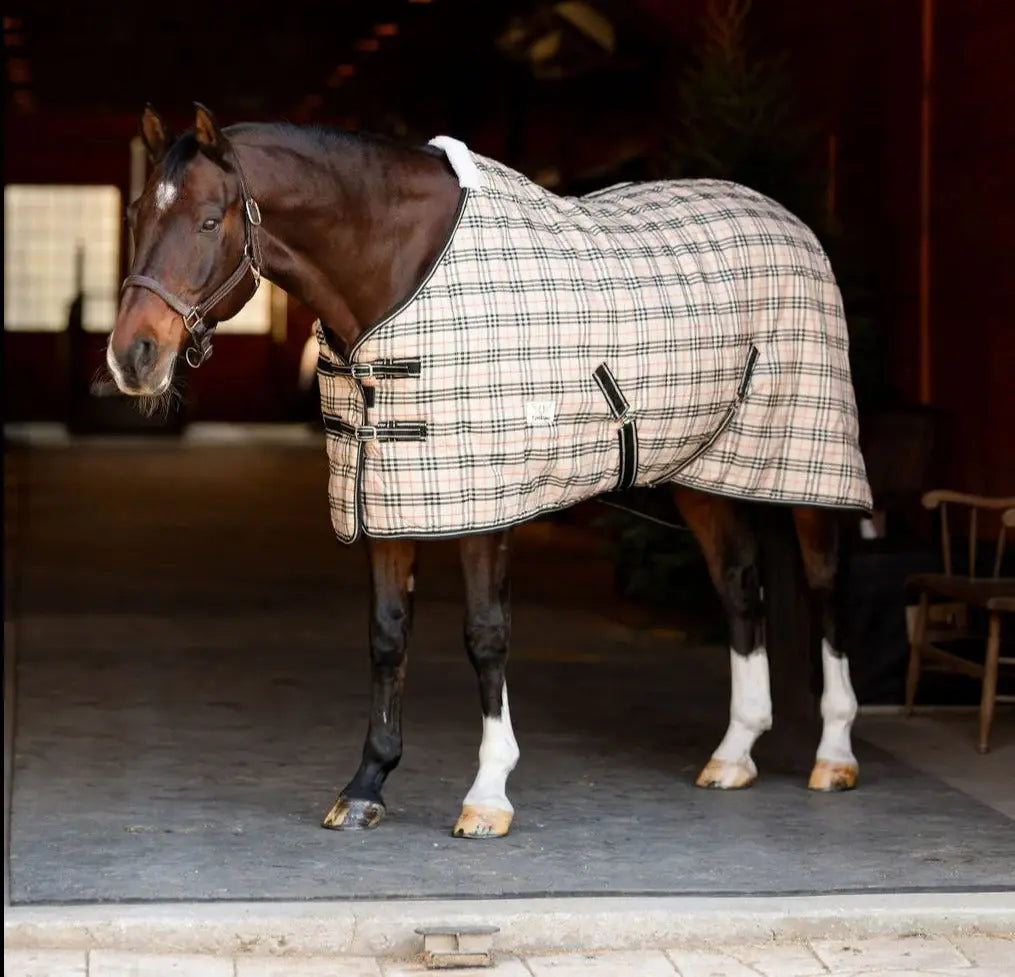 TuffRider Comfy Standard Neck Medium Weight Stable Blanket- 1200D, 200GSM - Breeches.com - Flyclothing LLC