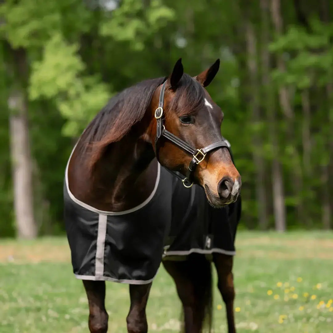 TuffRider Shelter Closed Front Stable Sheet - Breeches.com - Flyclothing LLC