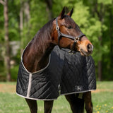 TuffRider Shelter Closed Front Medium Weight Stable Blanket - Breeches.com - Flyclothing LLC