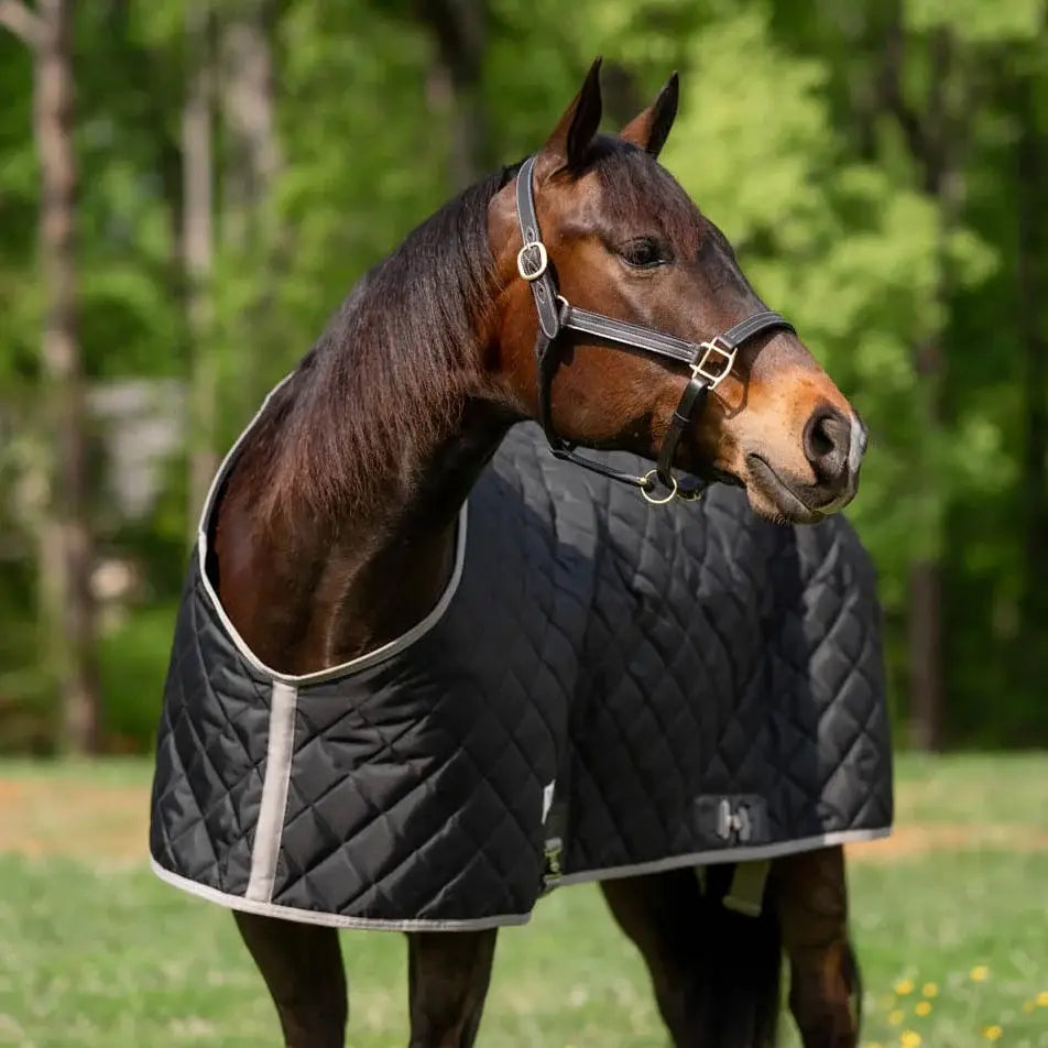 TuffRider Shelter Closed Front Medium Weight Stable Blanket - Breeches.com - Flyclothing LLC