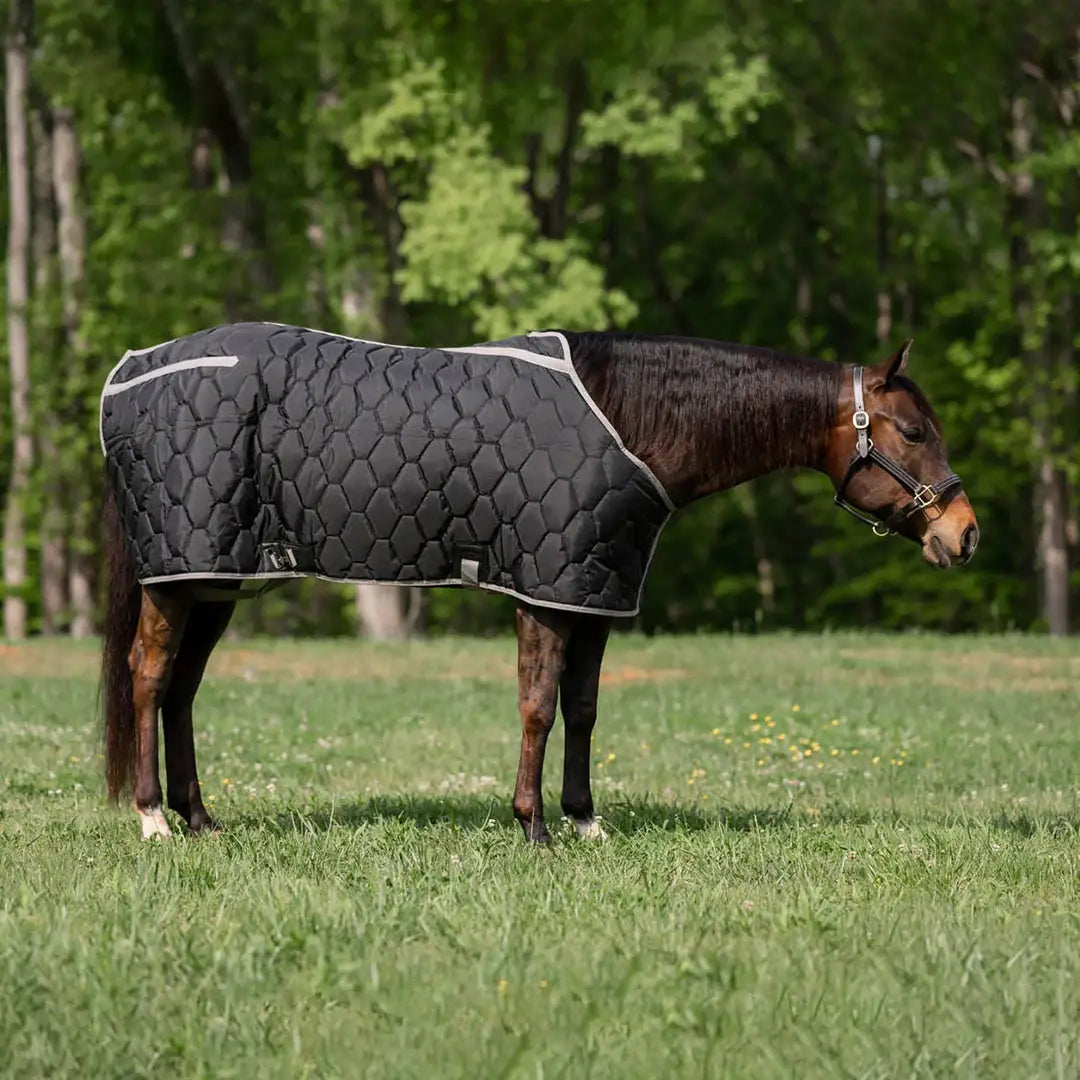 TuffRider Shelter Closed Front HeavyWeight Stable Blanket - Breeches.com - Flyclothing LLC