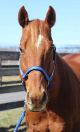 TuffRider Nylon Breakaway Halter & Lead Rope Set - Breeches.com - Flyclothing LLC