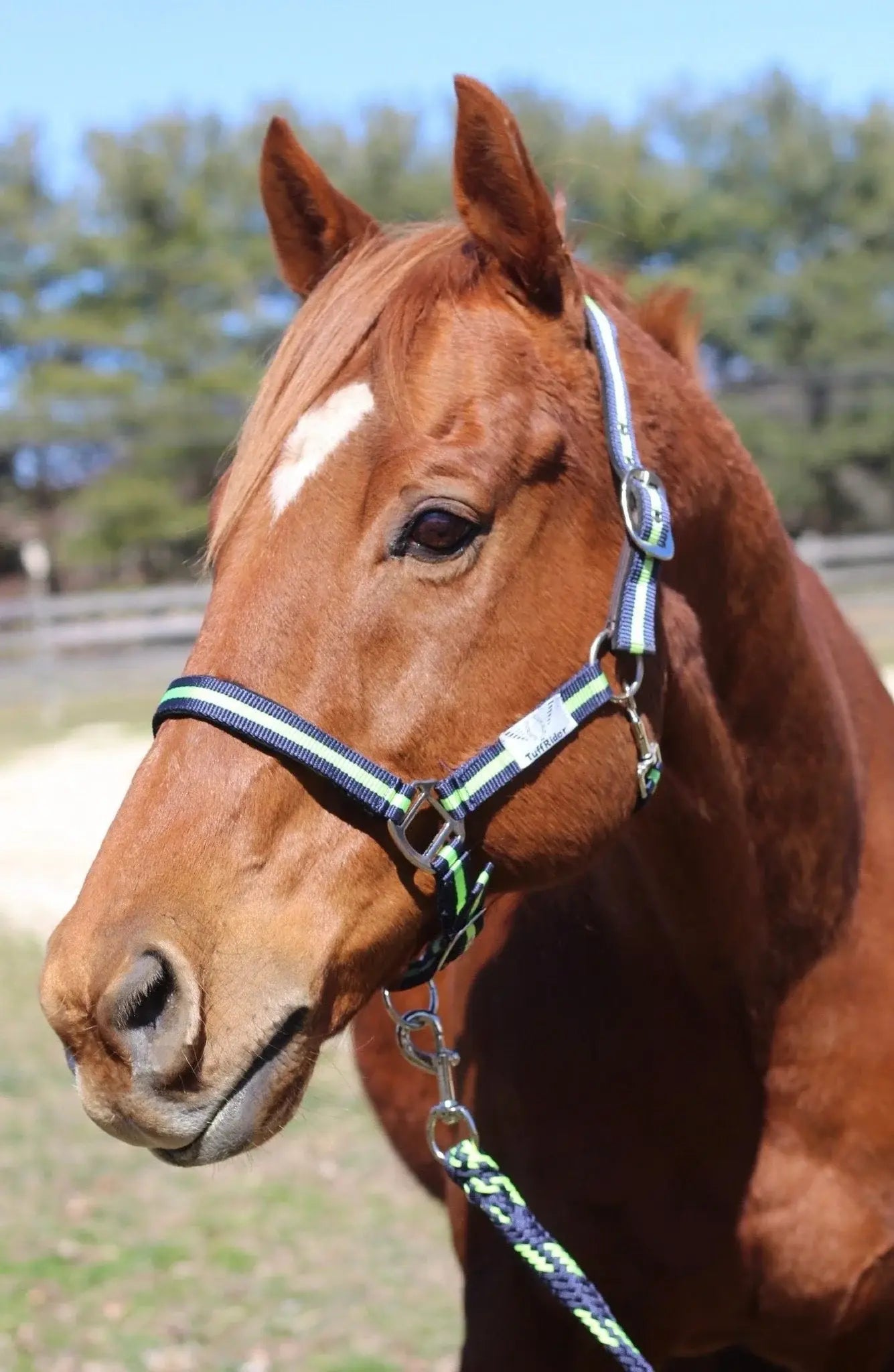 TuffRider Nylon Breakaway Halter & Lead Rope Set - Breeches.com - Flyclothing LLC