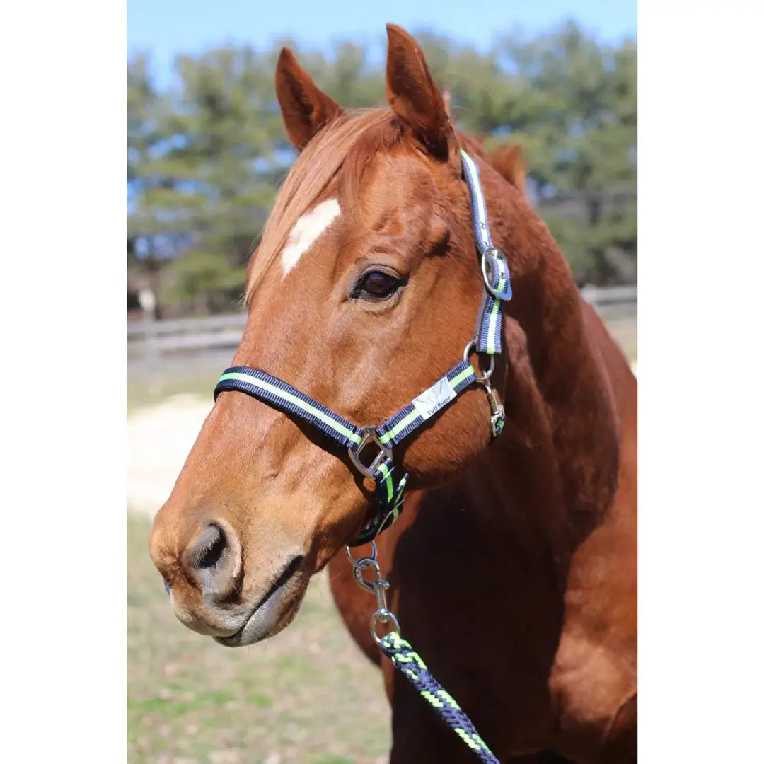 TuffRider Nylon Breakaway Halter & Lead Rope Set - Breeches.com - Flyclothing LLC