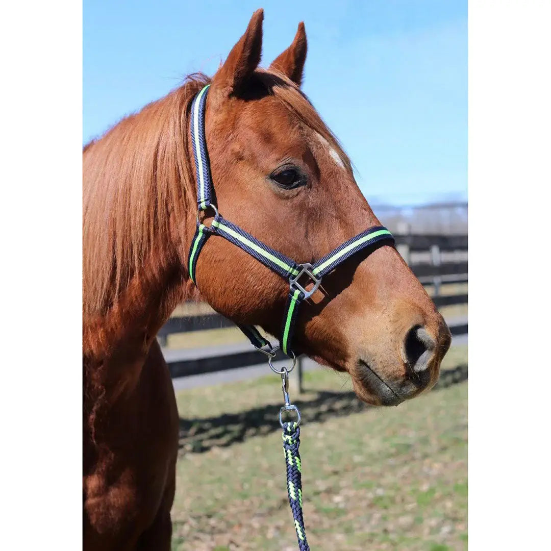 TuffRider Nylon Breakaway Halter & Lead Rope Set - Breeches.com - Flyclothing LLC