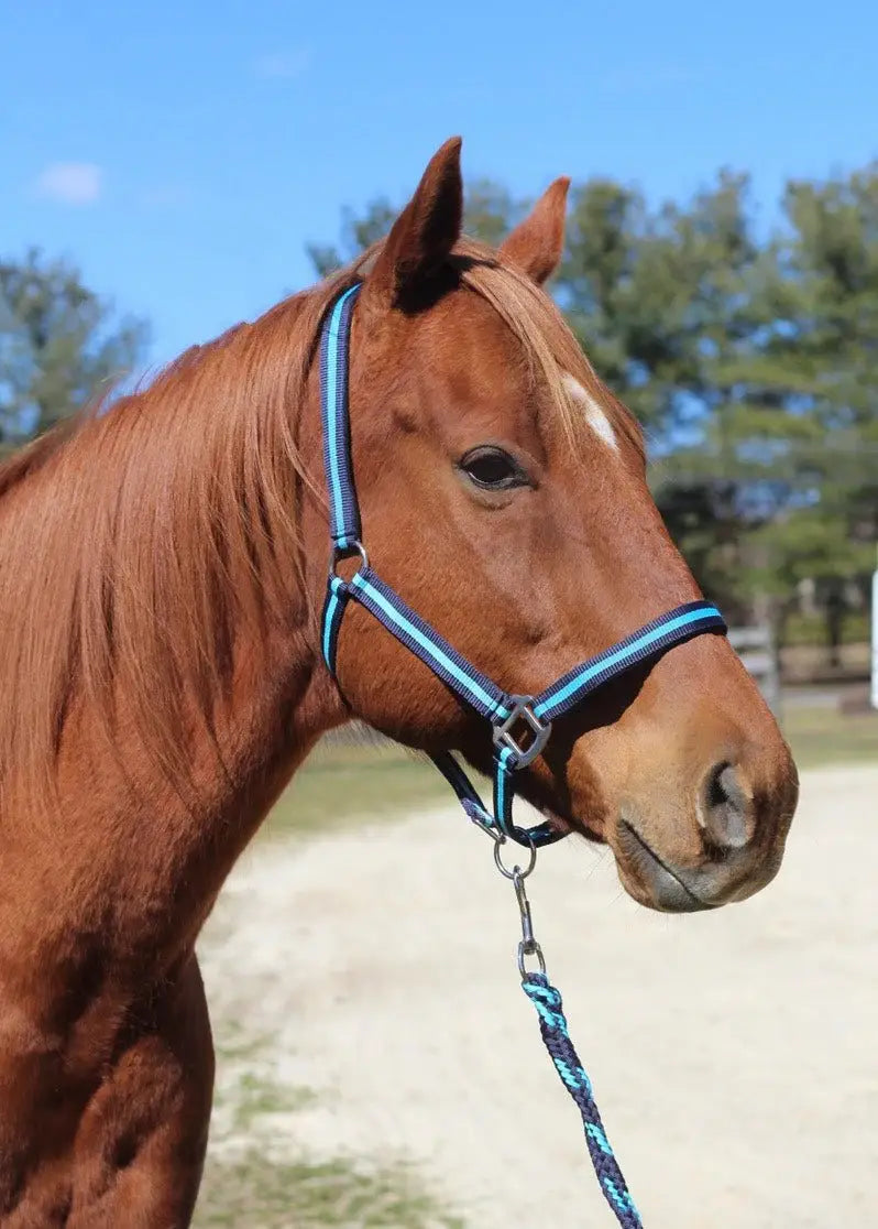 TuffRider Nylon Breakaway Halter & Lead Rope Set - Breeches.com - Flyclothing LLC
