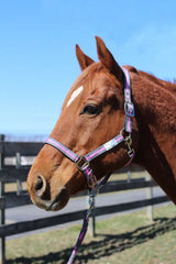 TuffRider Nylon Breakaway Halter & Lead Rope Set - Breeches.com - Flyclothing LLC