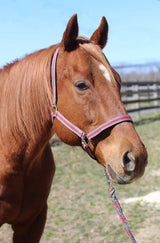 TuffRider Nylon Breakaway Halter & Lead Rope Set - Breeches.com - Flyclothing LLC