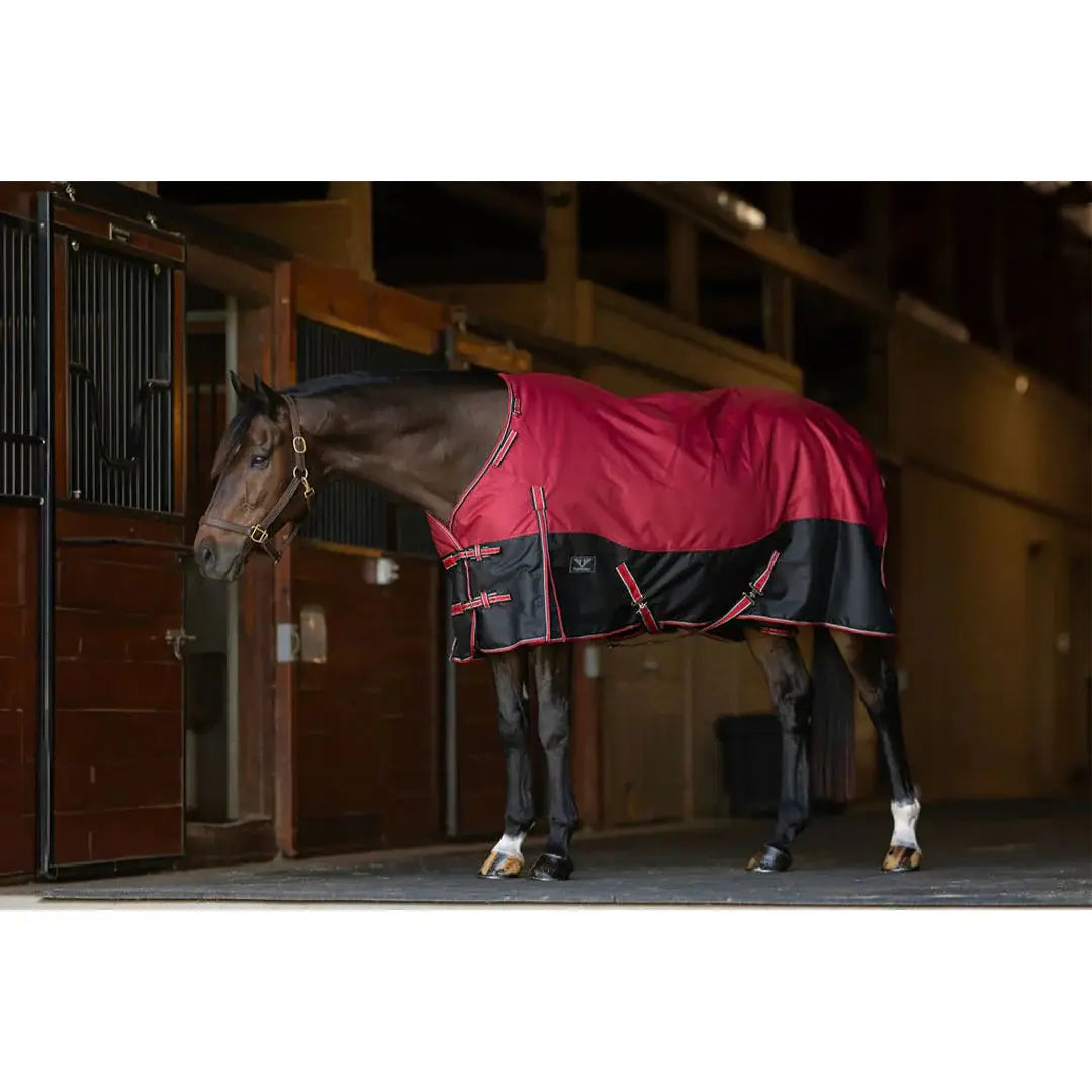 TuffRider Comfy Fit 1200 D RipStop Waterproof/Breathable Comfy Winter Turnout Blanket Medium Weight 200 GSM Standard Neck W/Adjustable Neck - Breeches.com - Flyclothing LLC
