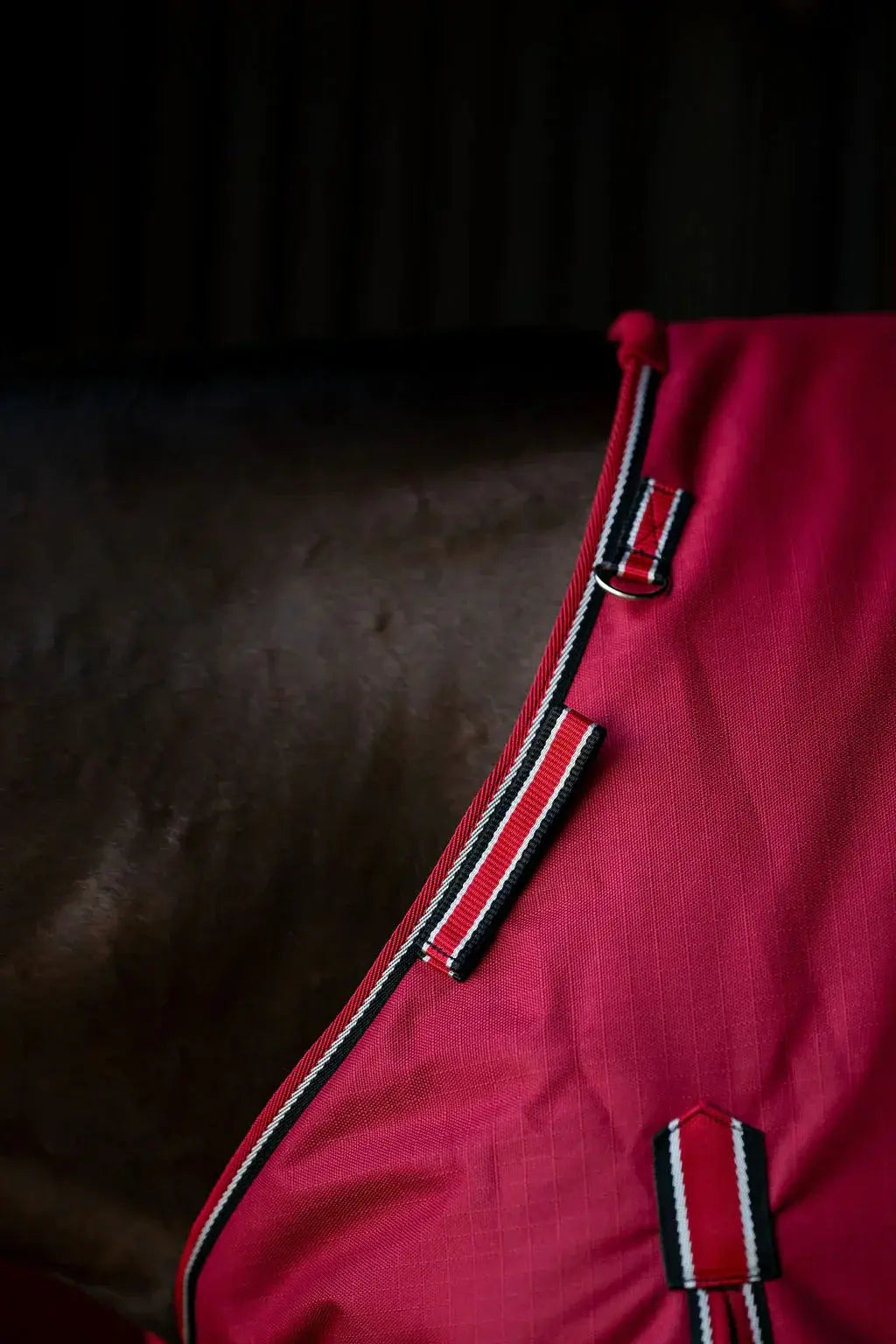 TuffRider Comfy Fit 1200 D RipStop Waterproof/Breathable Comfy Winter Turnout Blanket Medium Weight 200 GSM Standard Neck W/Adjustable Neck - Breeches.com - Flyclothing LLC