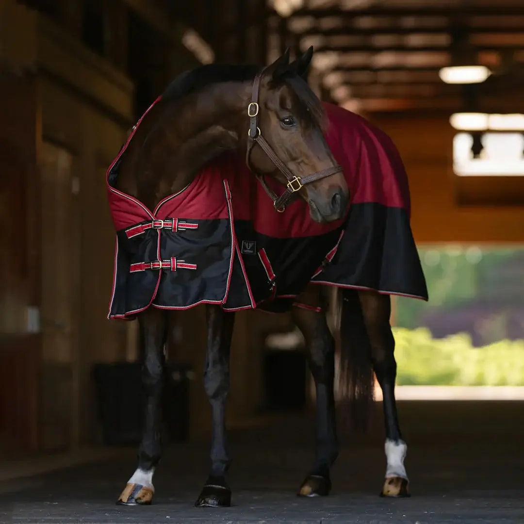 TuffRider Comfy Fit 1200 D RipStop Waterproof/Breathable Comfy Winter Turnout Blanket Medium Weight 200 GSM Standard Neck W/Adjustable Neck - Breeches.com - Flyclothing LLC
