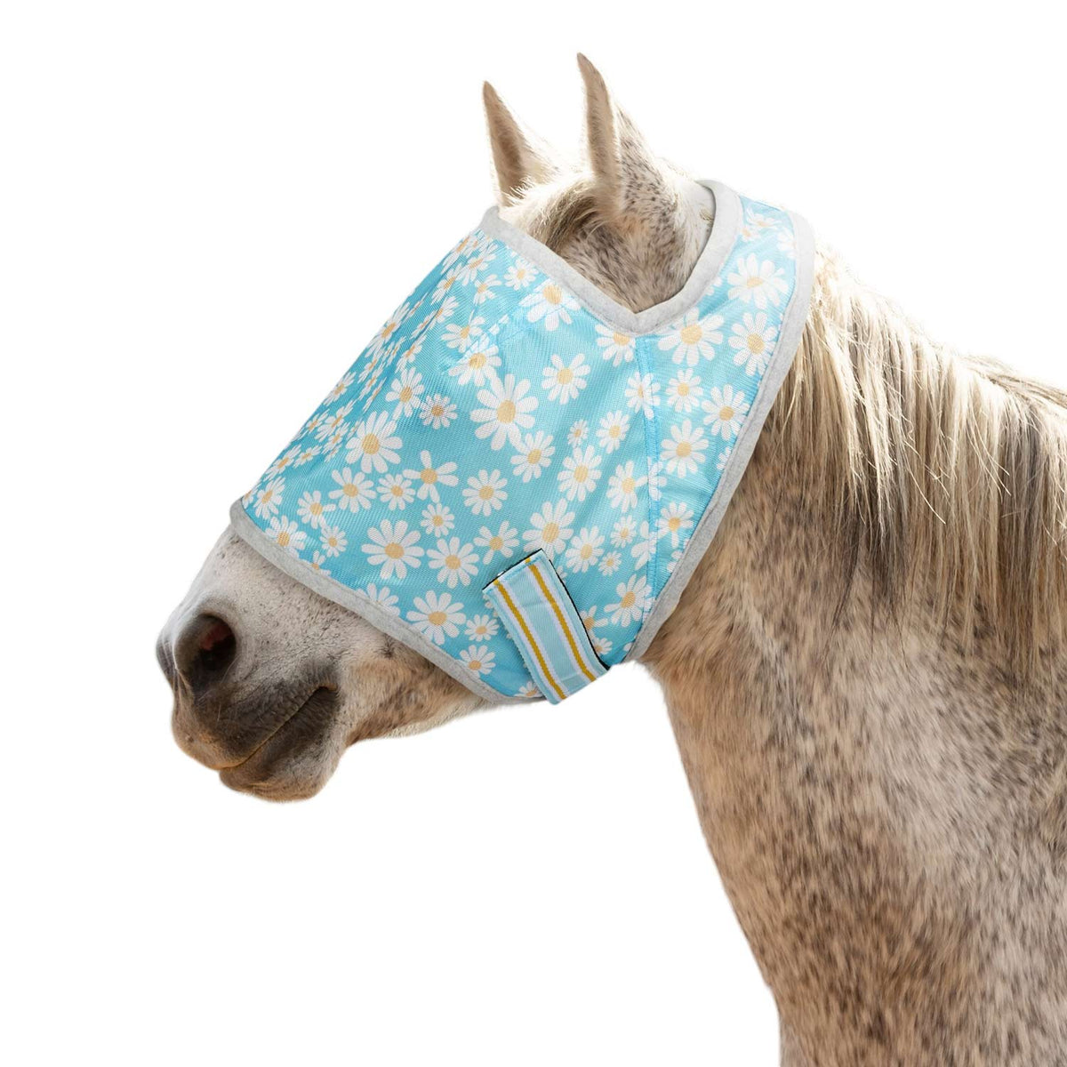 TuffRider Daisy Print Fly Mask Without Ears - Breeches.com - Flyclothing LLC
