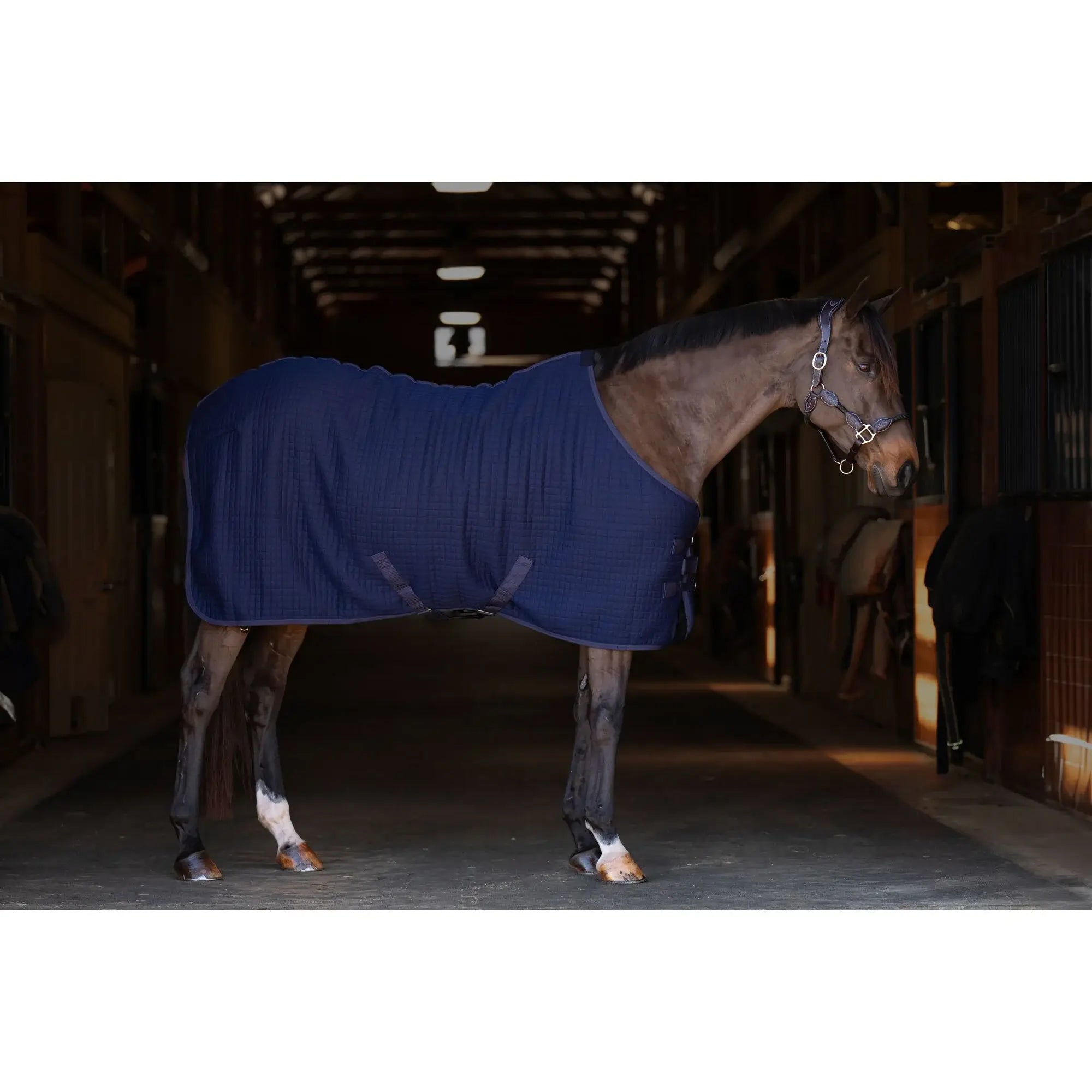 TuffRider ThermoManager Stable Blanket - Breeches.com - Flyclothing LLC