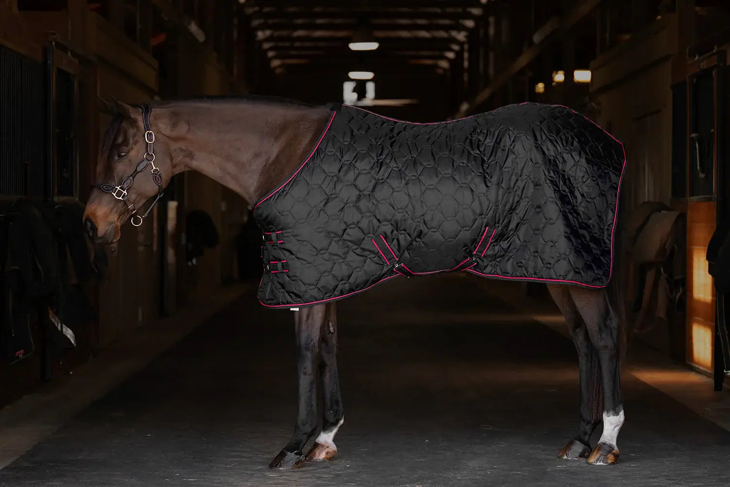 TuffRider Comfy Standard Neck Medium Weight Stable Blanket- 420D, 150GSM - Breeches.com - Flyclothing LLC