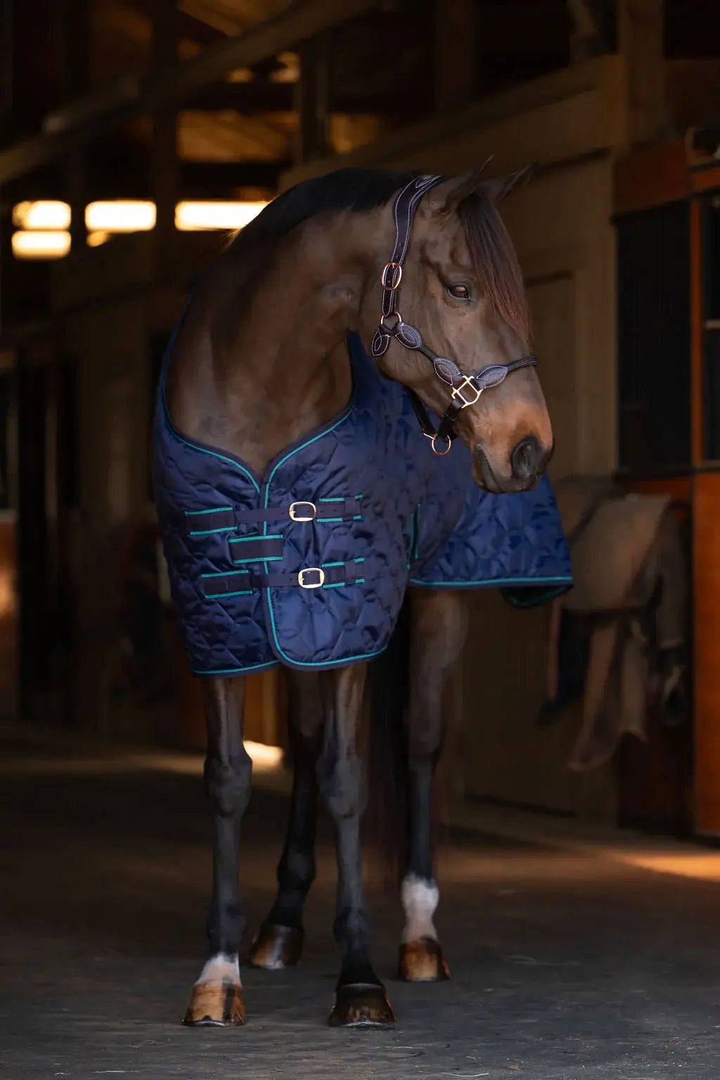 TuffRider Comfy Standard Neck Medium Weight Stable Blanket- 420D, 150GSM - Breeches.com - Flyclothing LLC