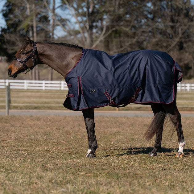 TuffRider 600 D Ripstop Standard Neck Light Weight Turnout Blanket with 100 GSM Fill - Breeches.com - Flyclothing LLC