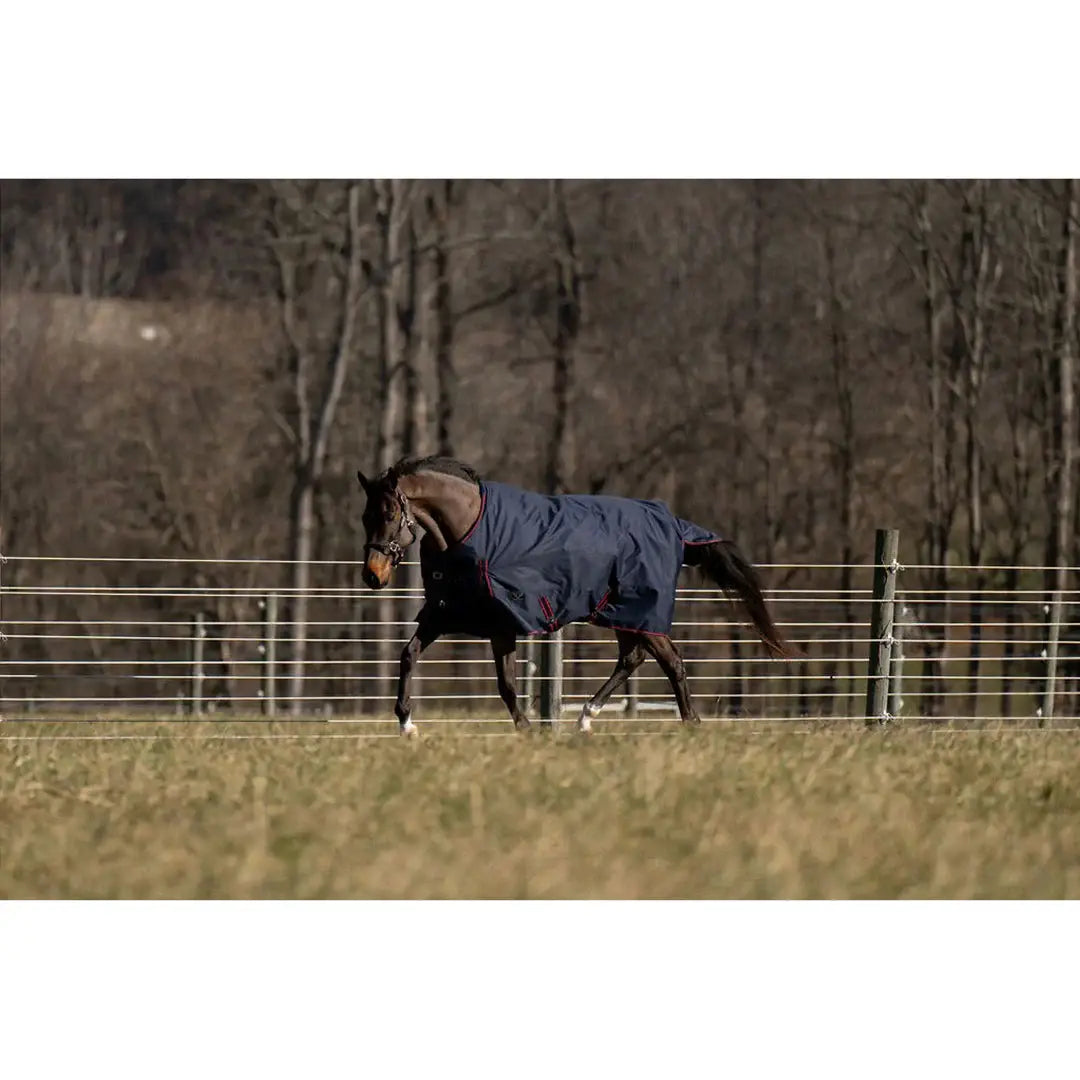 TuffRider 600 D Ripstop Standard Neck Light Weight Turnout Blanket with 100 GSM Fill - Breeches.com - Flyclothing LLC