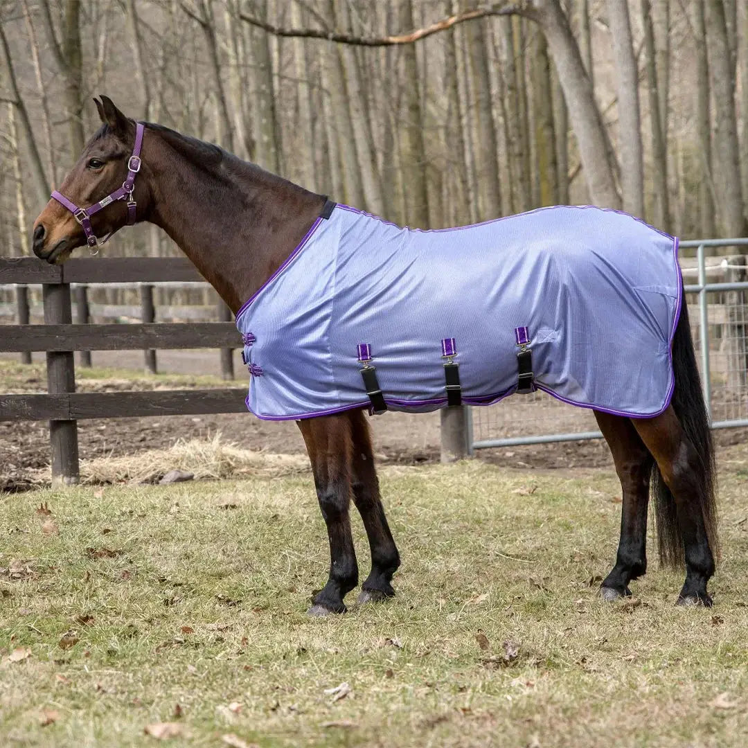 TuffRider Comfy Plus Standard Neck Fly Sheet - Breeches.com - Flyclothing LLC