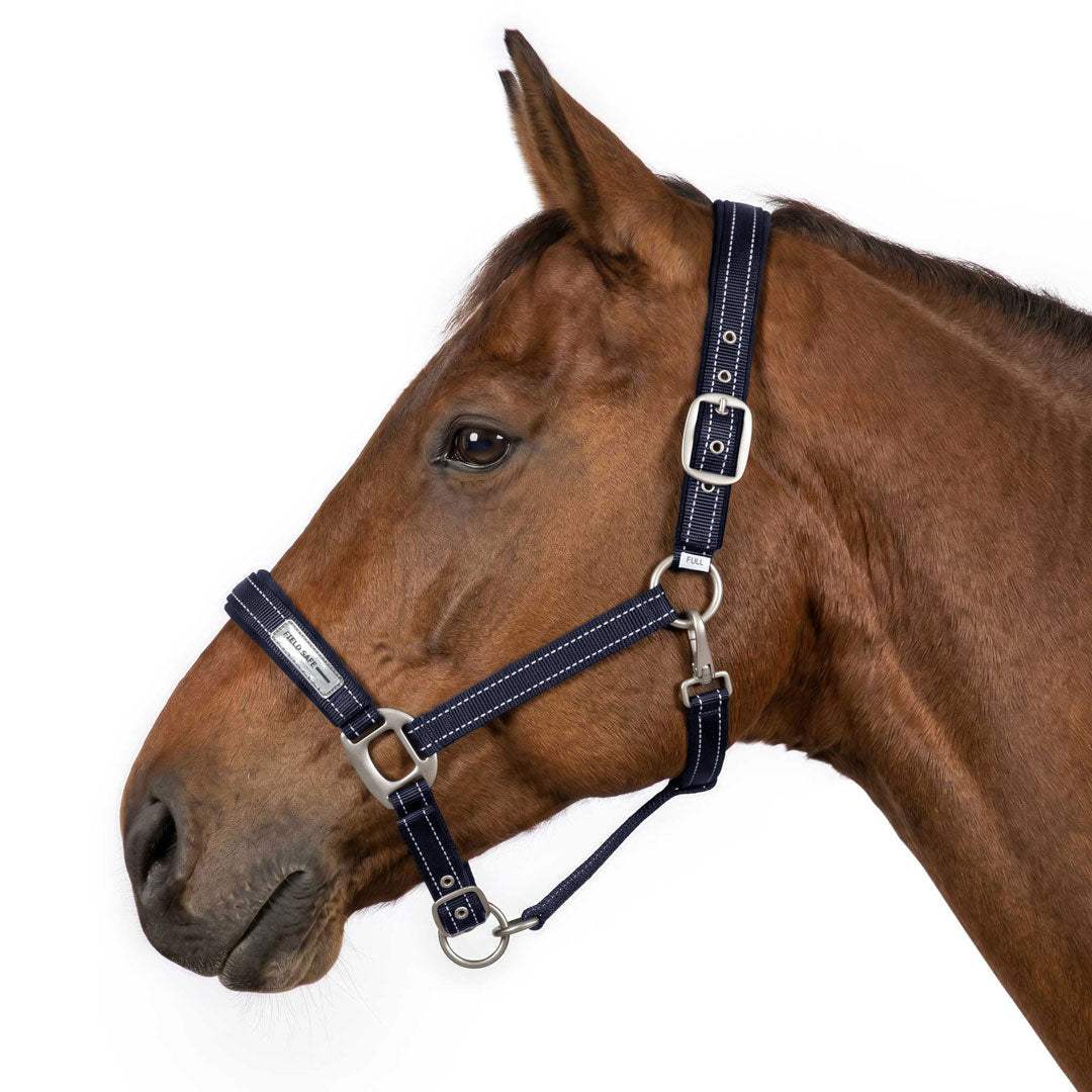 TuffRider SafeReset Breakaway Halter - Breeches.com - Flyclothing LLC