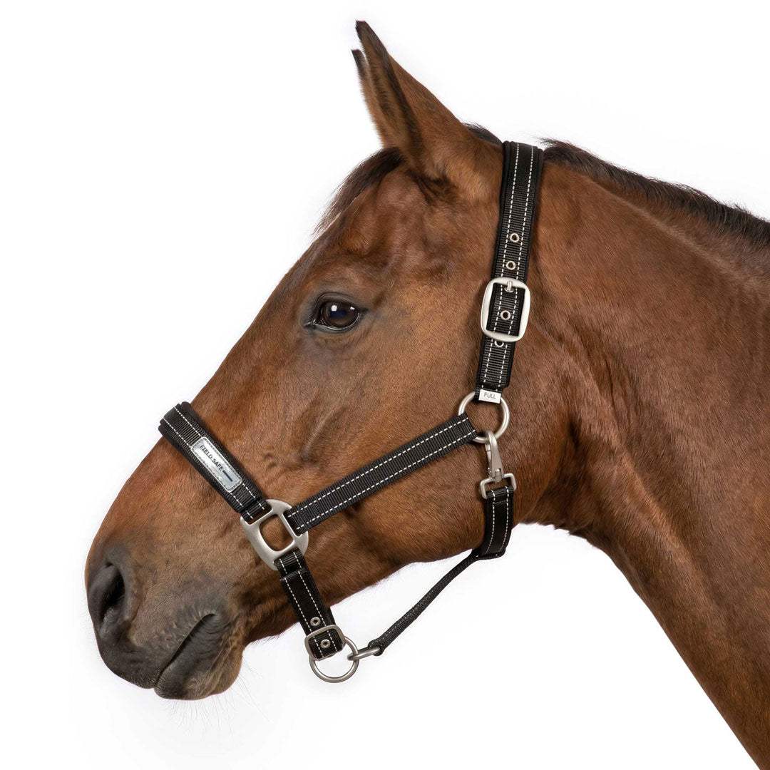 TuffRider SafeReset Breakaway Halter - Breeches.com - Flyclothing LLC