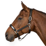 TuffRider SafeReset Breakaway Halter - Breeches.com - Flyclothing LLC