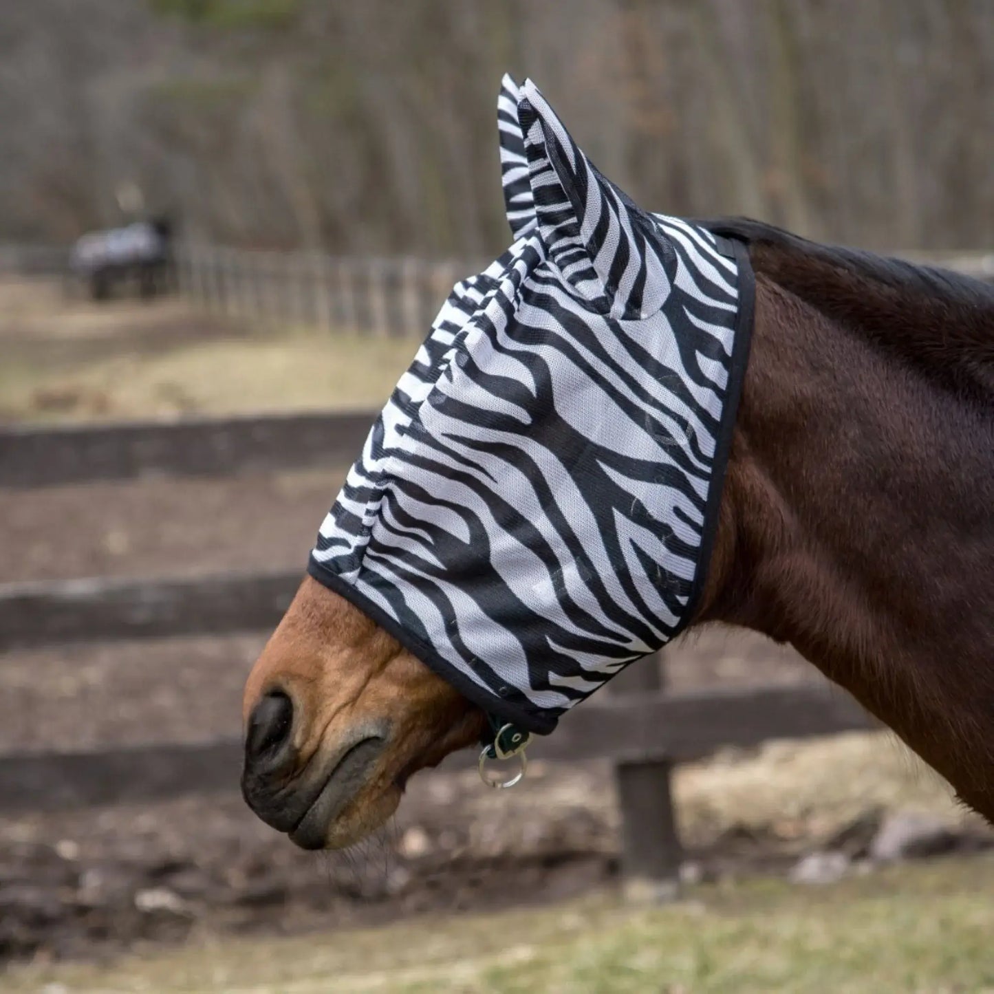 TuffRider Comfy Plus Zebra Print Fly Mask - Breeches.com - Flyclothing LLC