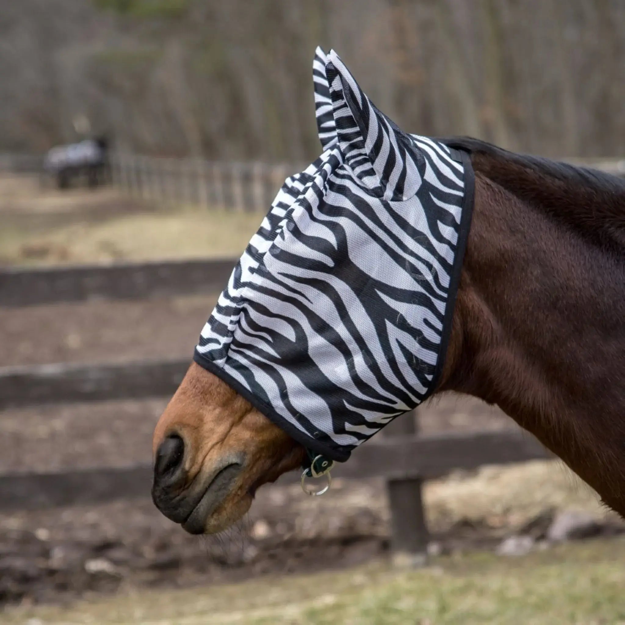 TuffRider Comfy Plus Zebra Print Fly Mask - Breeches.com - Flyclothing LLC
