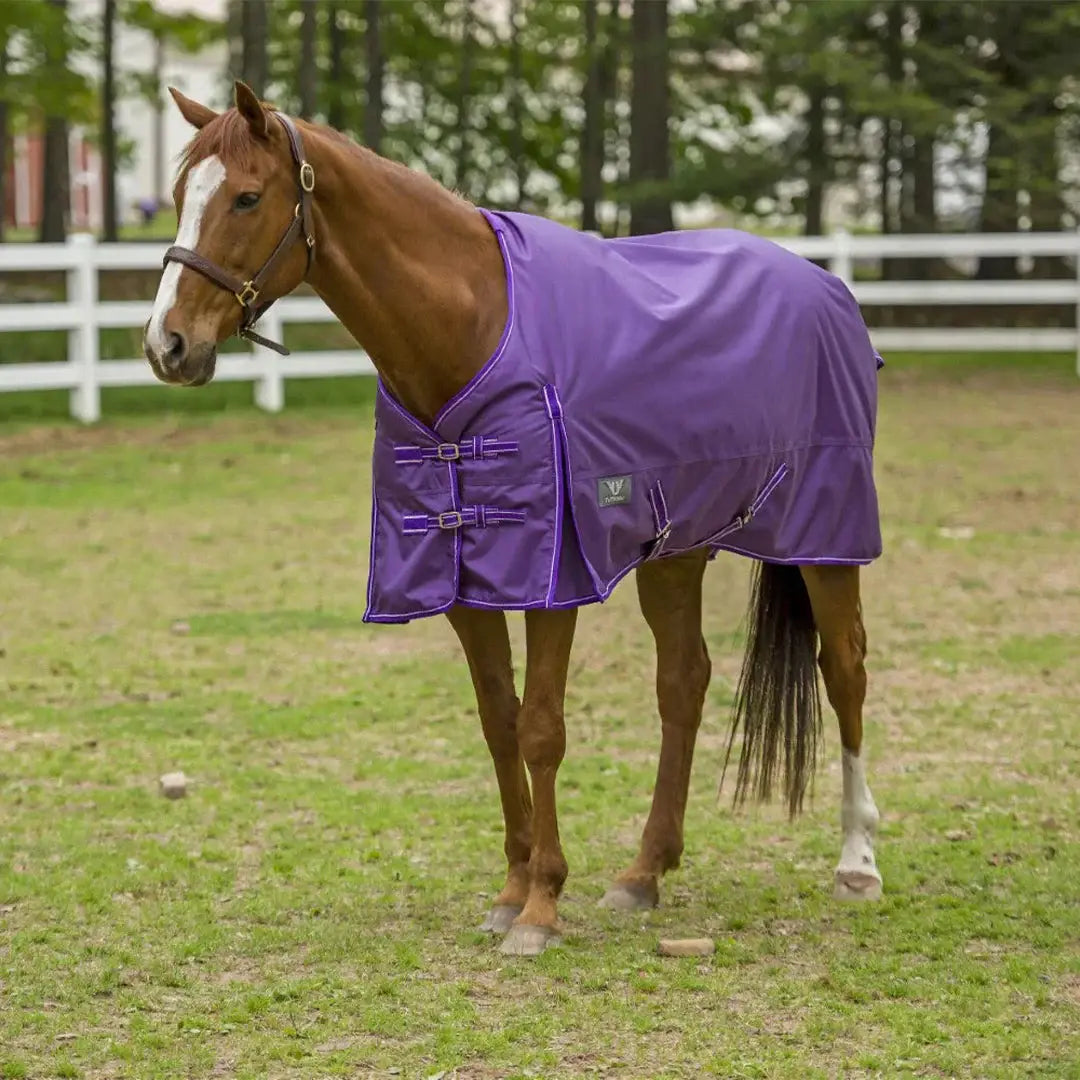 TuffRider 1680 D Super Comfy Winter Ripstop Turnout Blanket Medium Weight 200 GSM Standard Neck - Breeches.com - Flyclothing LLC